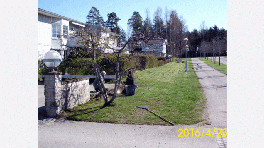 Ogräsrensing